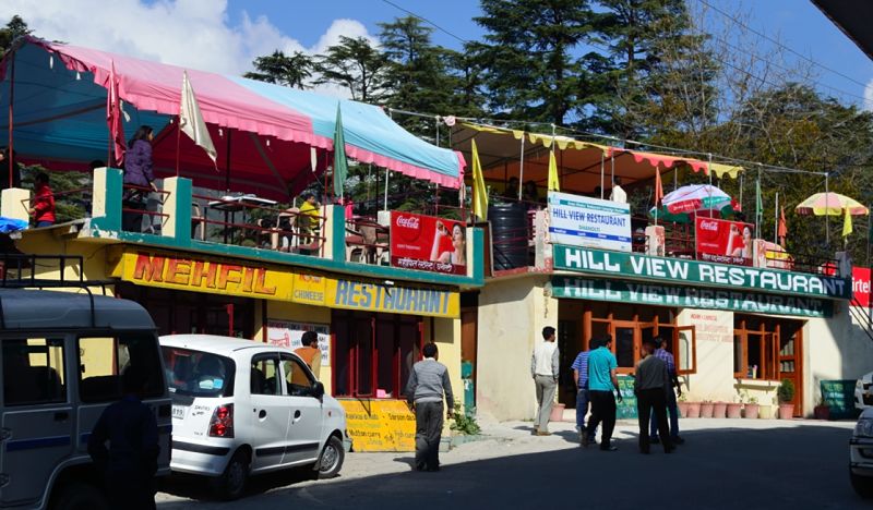 The road passing through Dhanaulti is lined with Deodar trees on both sides