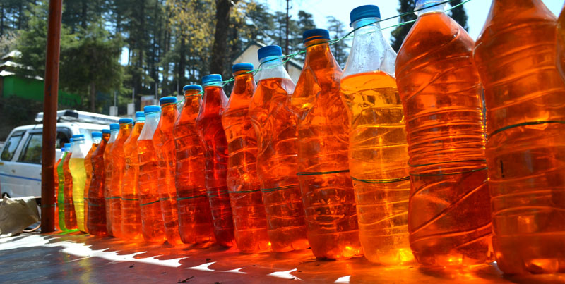 Rhododendron Juice at Dhanaulti