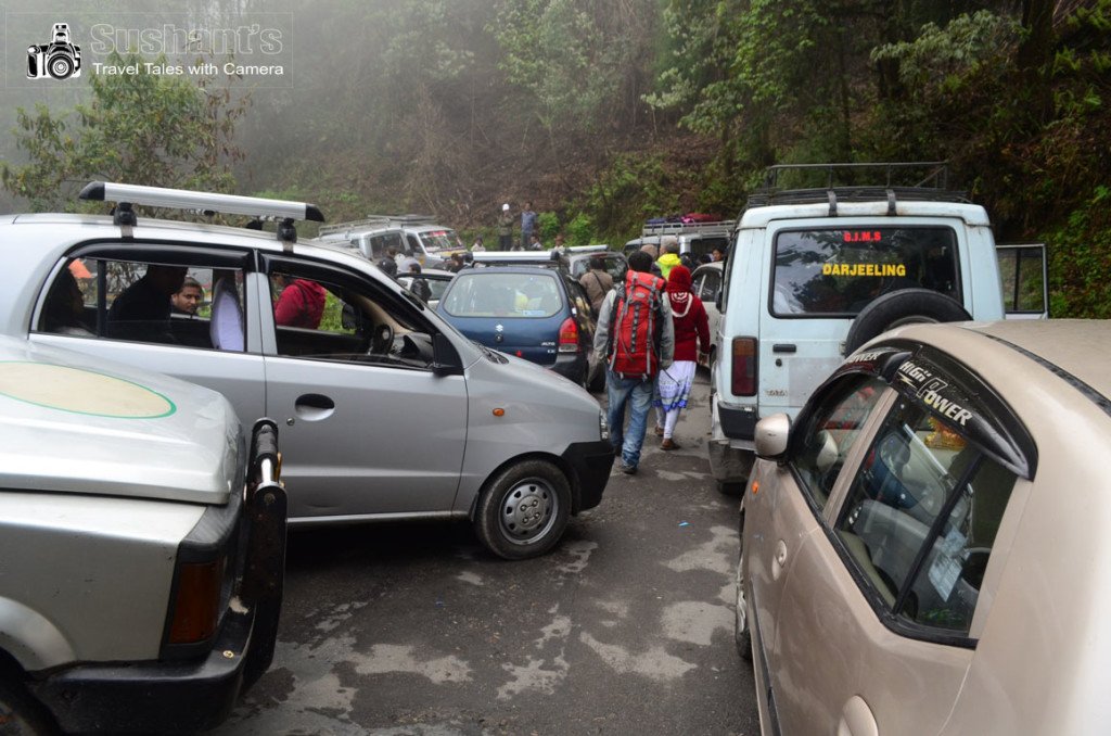 टाइगर हिल मार्ग पर टैक्सियों द्वारा पूर्णतः अराजक ढंग से मार्ग अवरुद्ध कर दिया जाता है। 